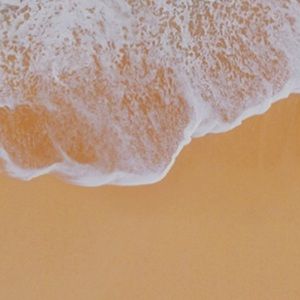 Meet your Posher, Alec